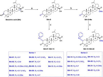 Synthesis and Biological Evaluations of Betulinic Acid Derivatives With Inhibitory Activity on Hyaluronidase and Anti-Inflammatory Effects Against Hyaluronic Acid Fragment Induced Inflammation